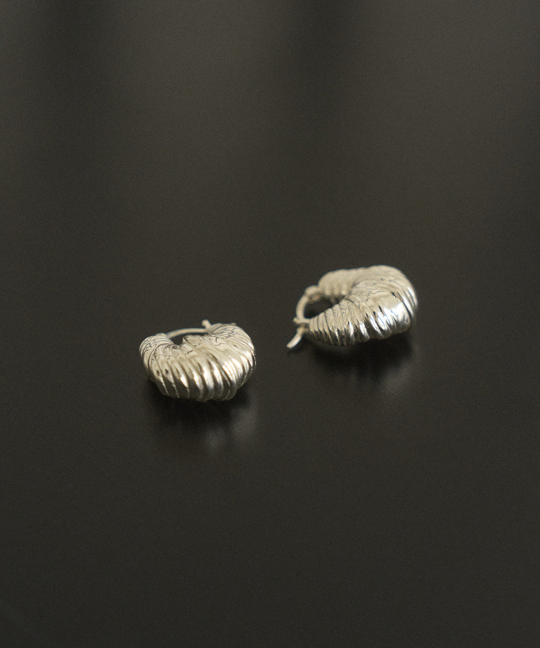 Conch shell Pierce