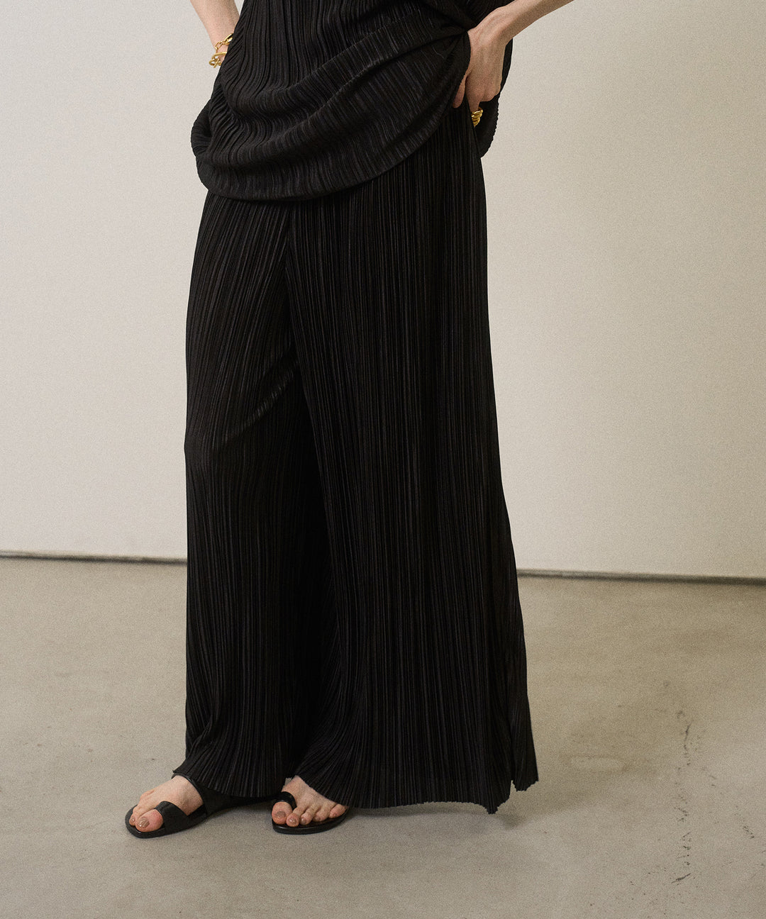 River Pleat Wide Pants