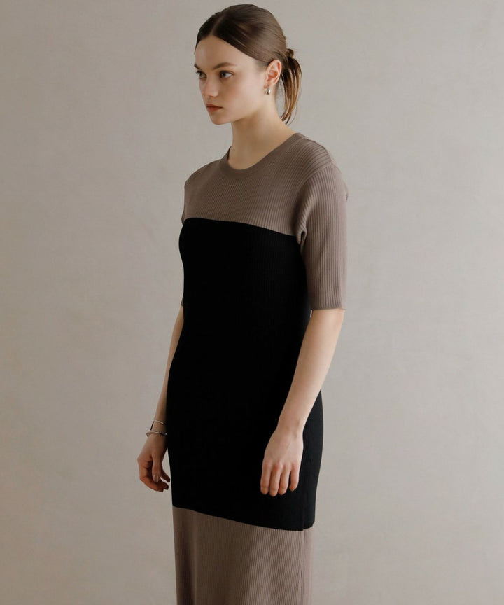 Bicolor Bustier Knit Dress
