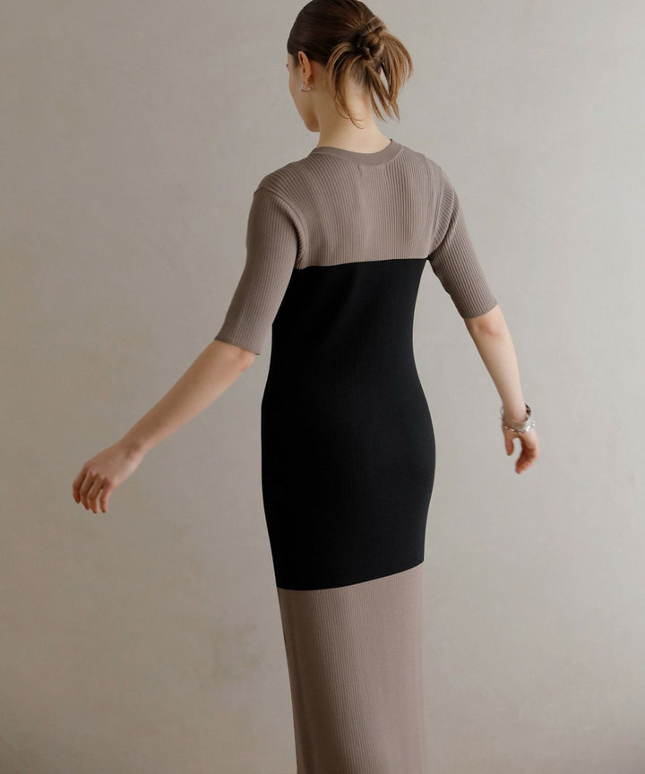 Bicolor Bustier Knit Dress
