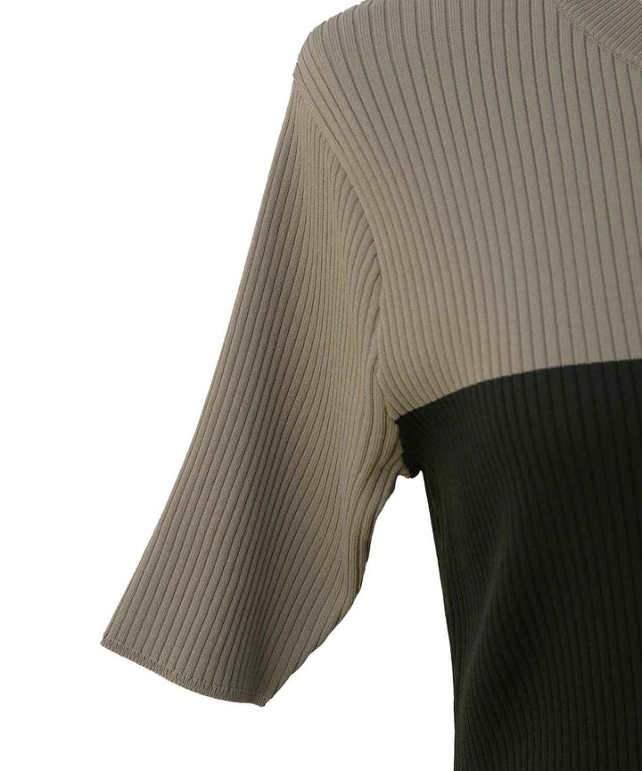 Bicolor Bustier Knit Dress